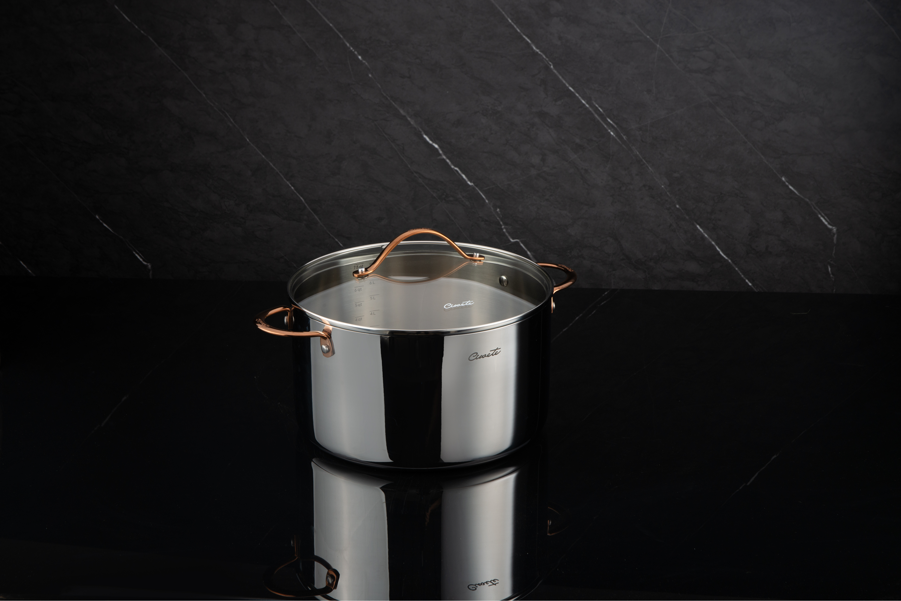Royal Stock Pot with Lid 26cm