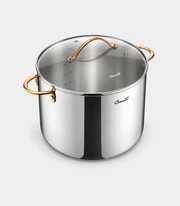Ciwete Stainless Steel Stock Pot with Lid, 12 qt / 11.36 L