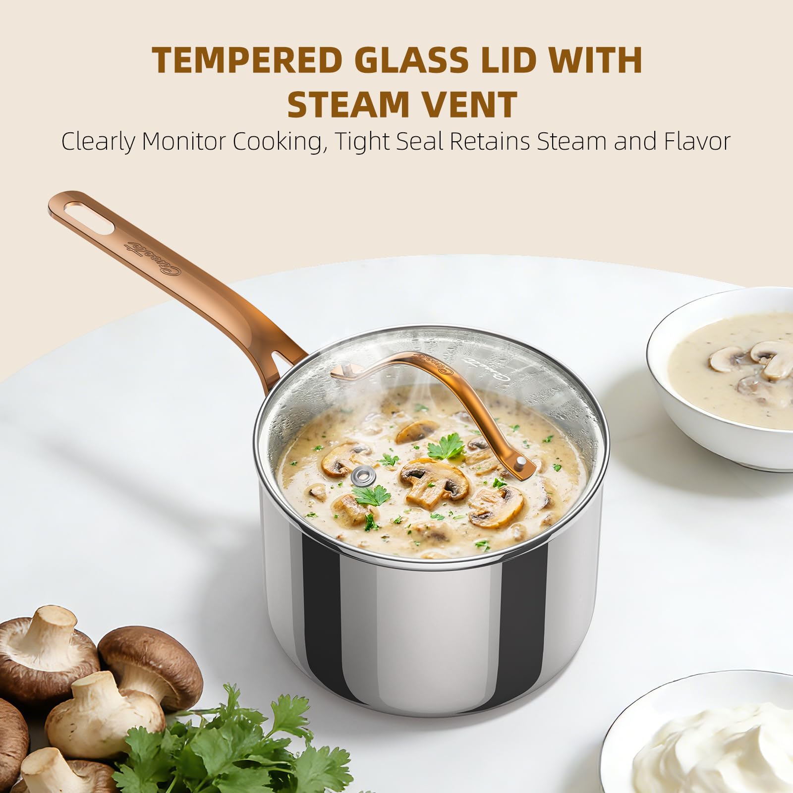 Stainless Steel Sauce Pan with Lid, 3 qt / 2.84 L — Ciwete (view 4)